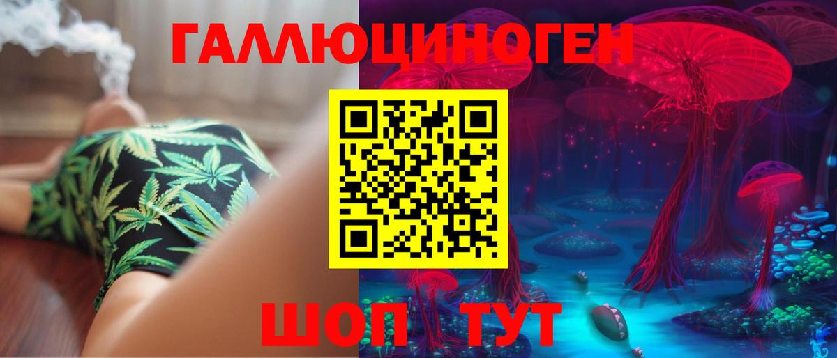 Свободный  Галлюциногенные грибы ЛСД  Вход с VPN  Псилоцибиновые грибы Psilocybine cubensis 